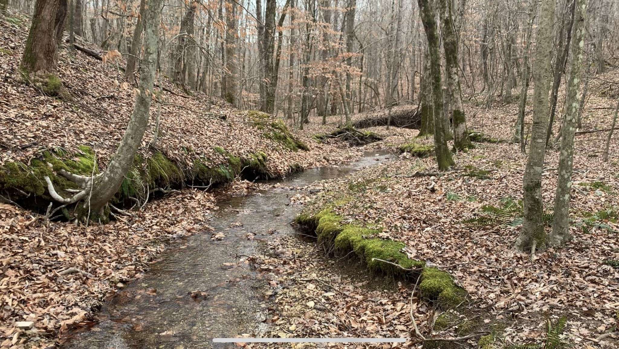 0 West Mackey Rd, Iron City, TN 38463