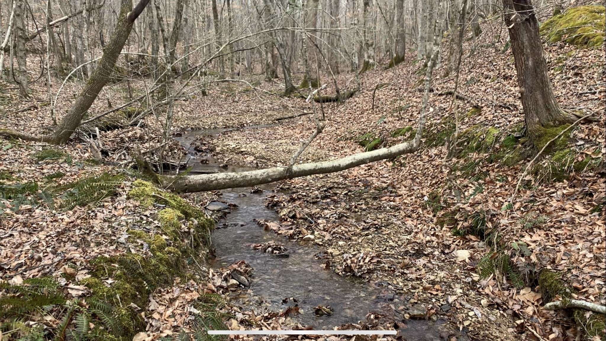 0 West Mackey Rd, Iron City, TN 38463
