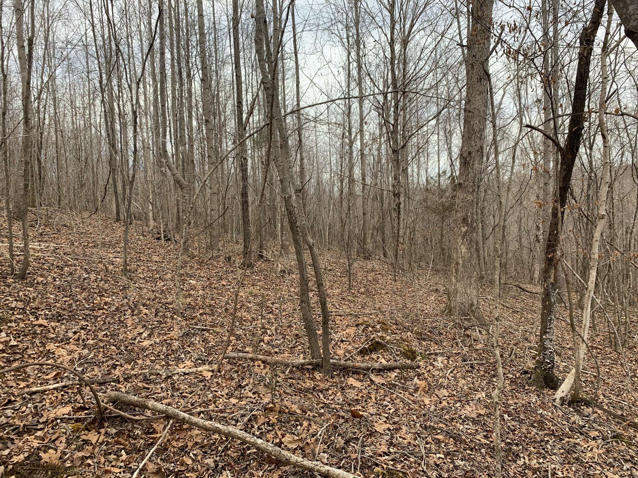 0 West Mackey Rd, Iron City, TN 38463