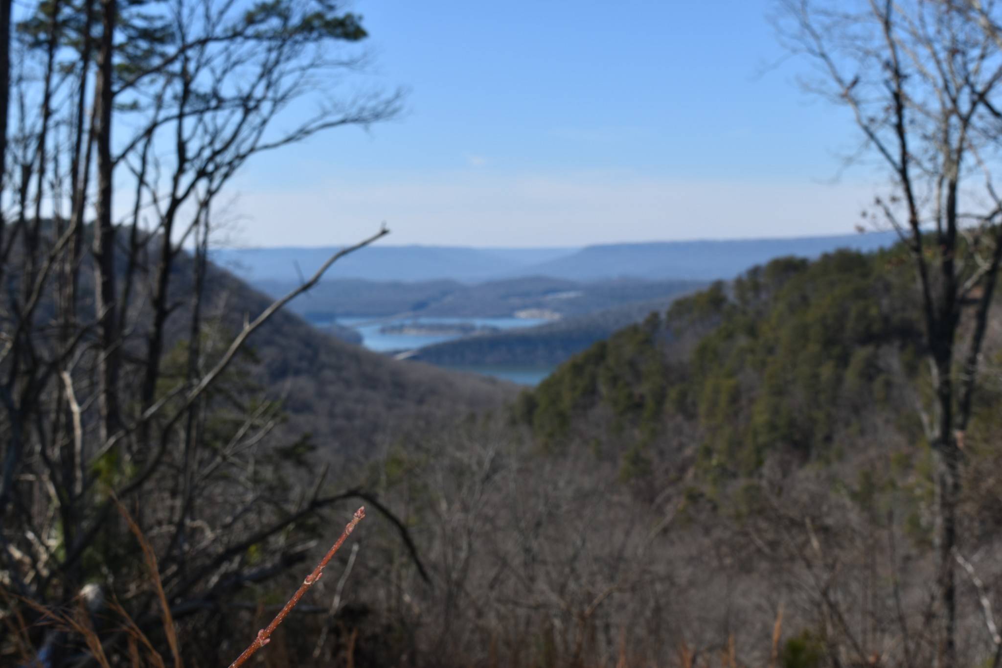 0 Birds Eye Way, Guild, TN 37340
