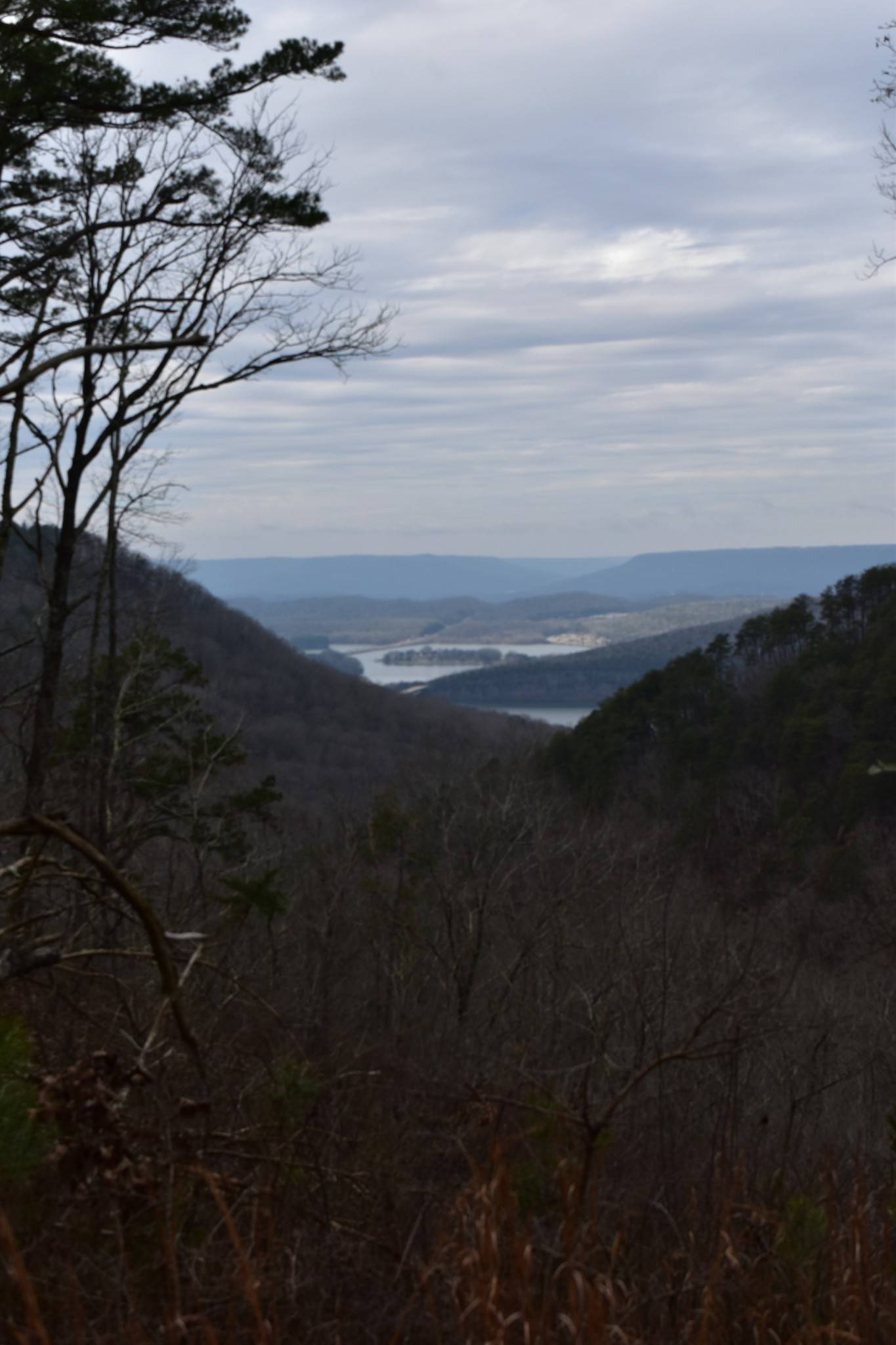 0 Birds Eye Way, Guild, TN 37340