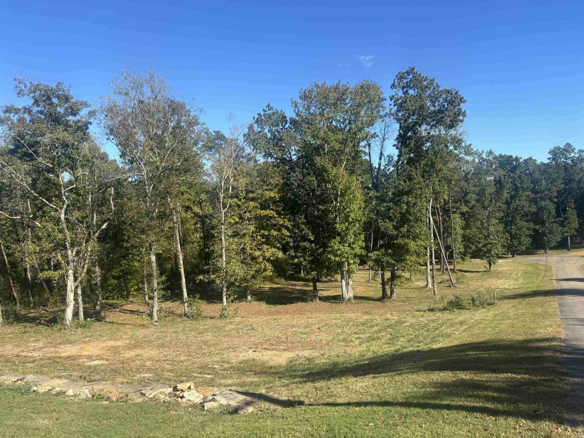 0 MARIAH LN, Bath Springs, TN 38311