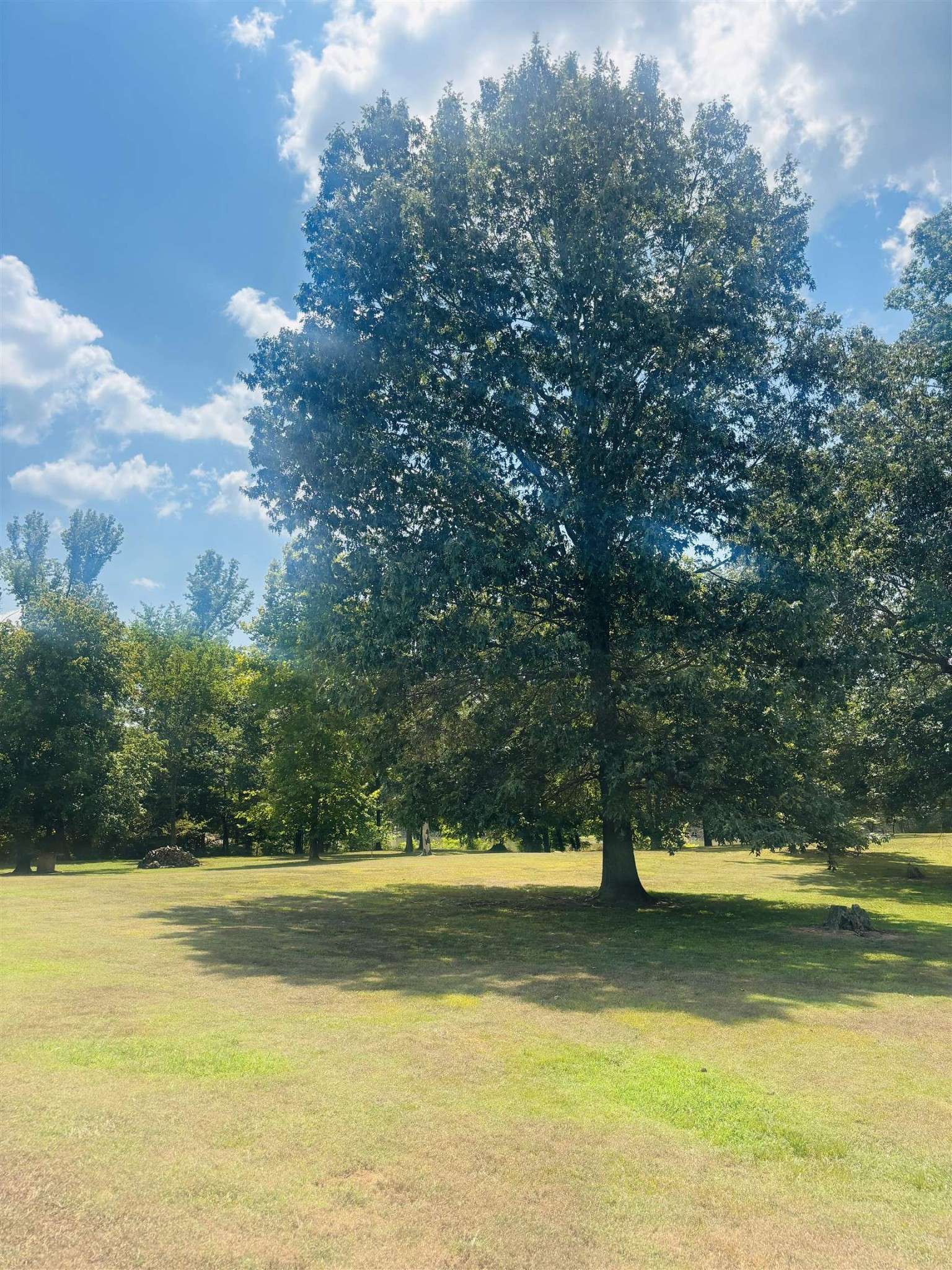 0 CHEROKEE LN, Bath Springs, TN 38311