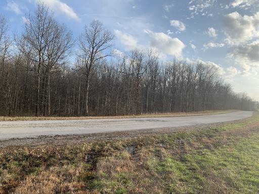 0 Box House Rd, Belvidere, TN 37306