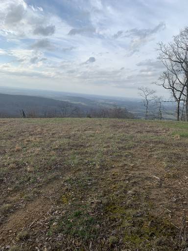 0 Box House Rd, Belvidere, TN 37306