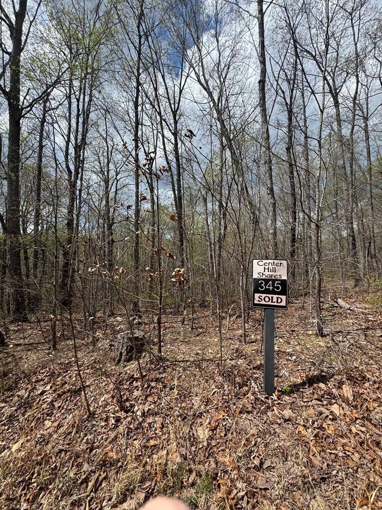 345 Drew Court, Smithville, TN 37166