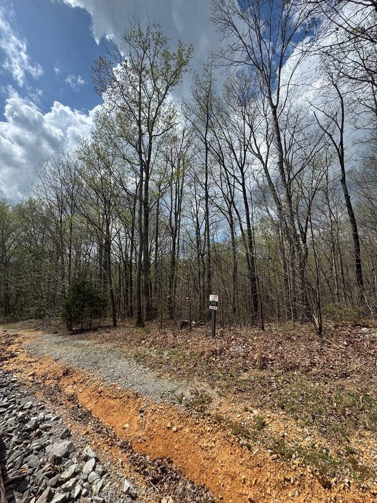 345 Drew Court, Smithville, TN 37166