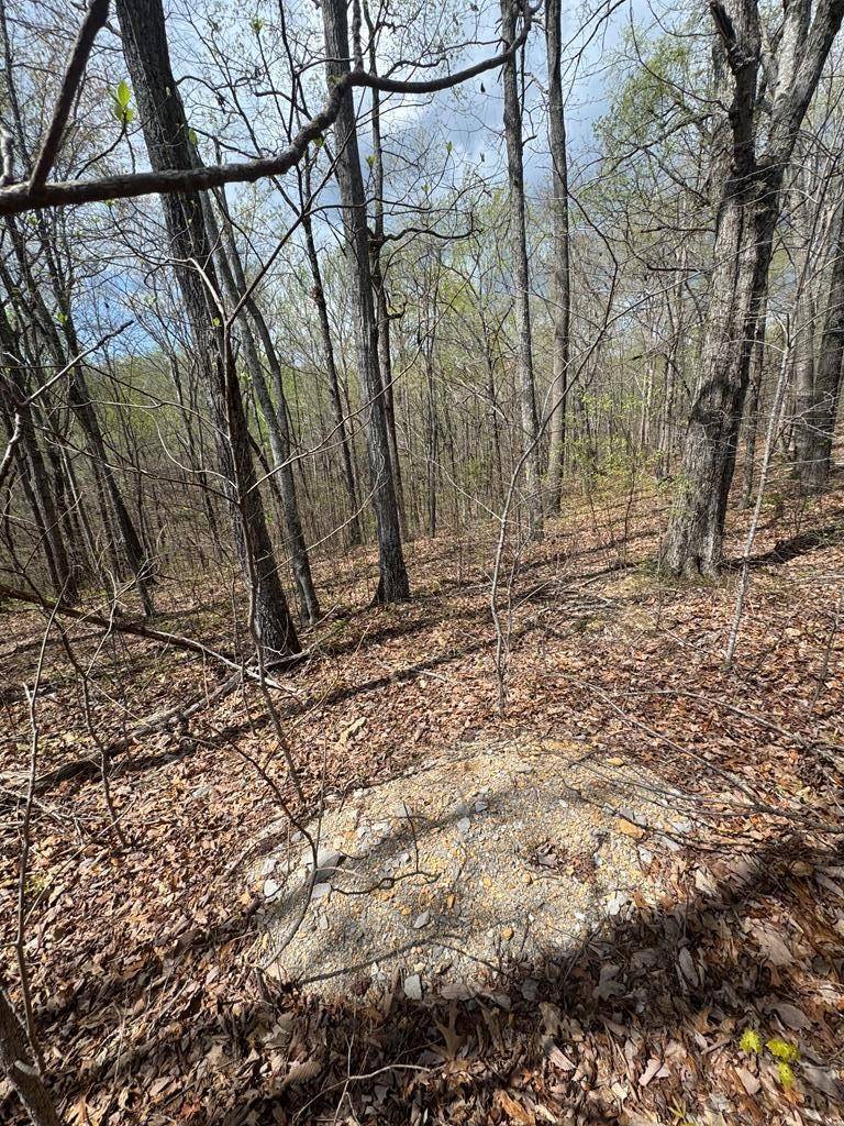 345 Drew Court, Smithville, TN 37166