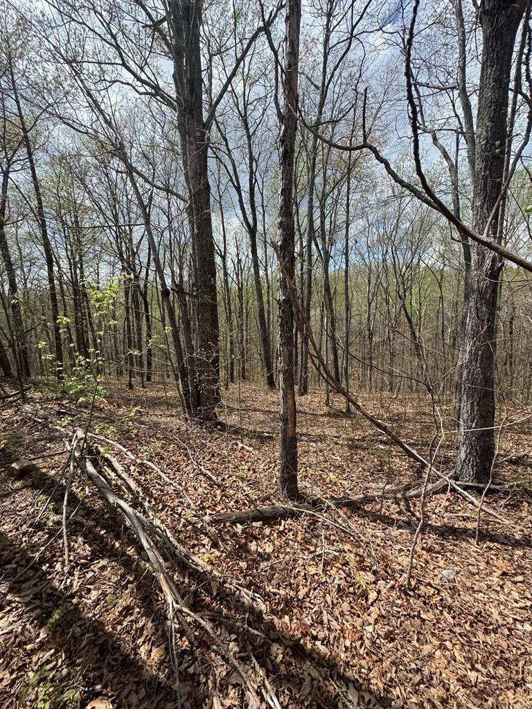 345 Drew Court, Smithville, TN 37166