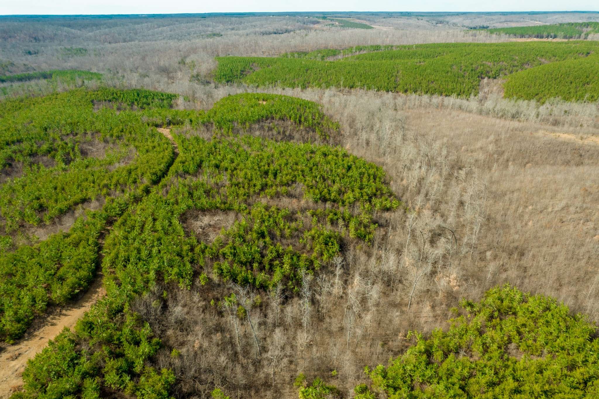 0 State Line Road, Iron City, TN 38463