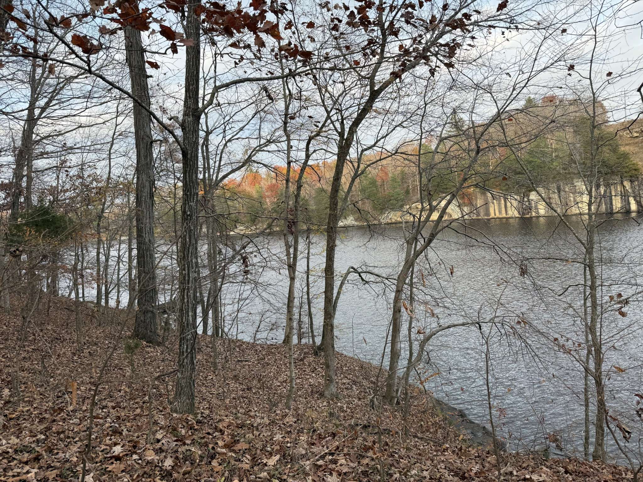 0 Canyon Run Rd, Lewisburg, KY 42256