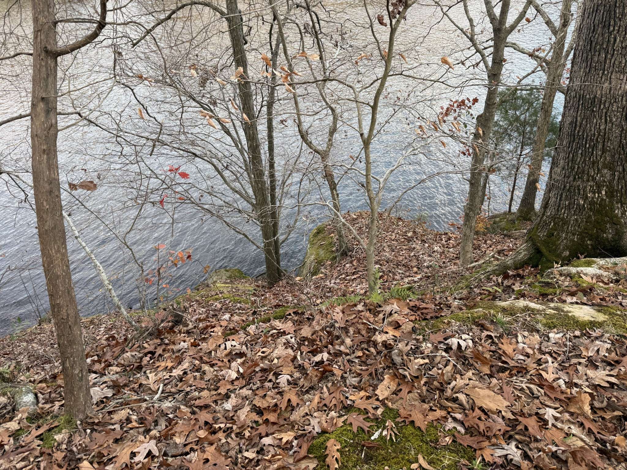 0 Canyon Run Rd, Lewisburg, KY 42256