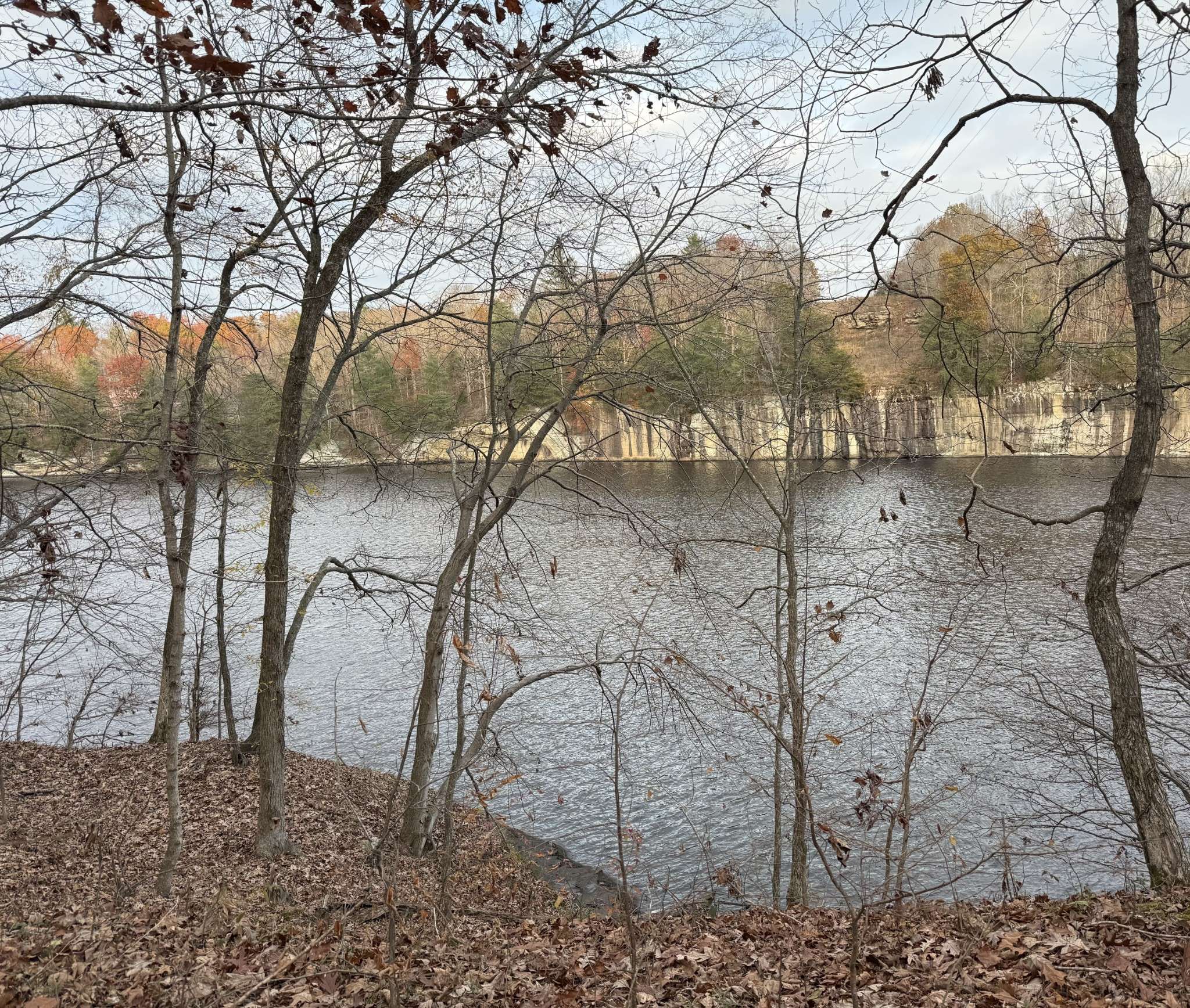 0 Canyon Run Rd, Lewisburg, KY 42256