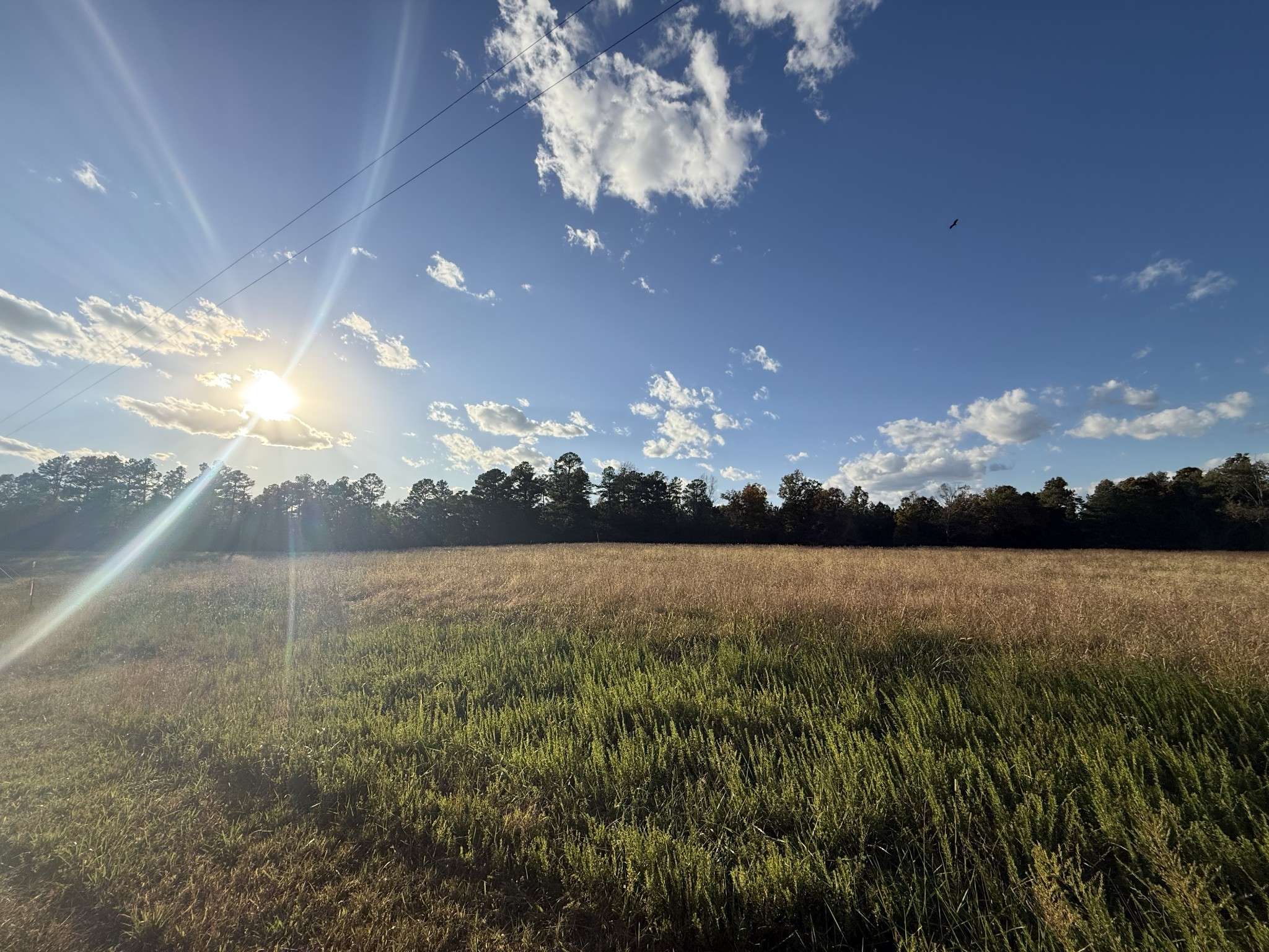 0 Canyon Run Rd, Lewisburg, KY 42256