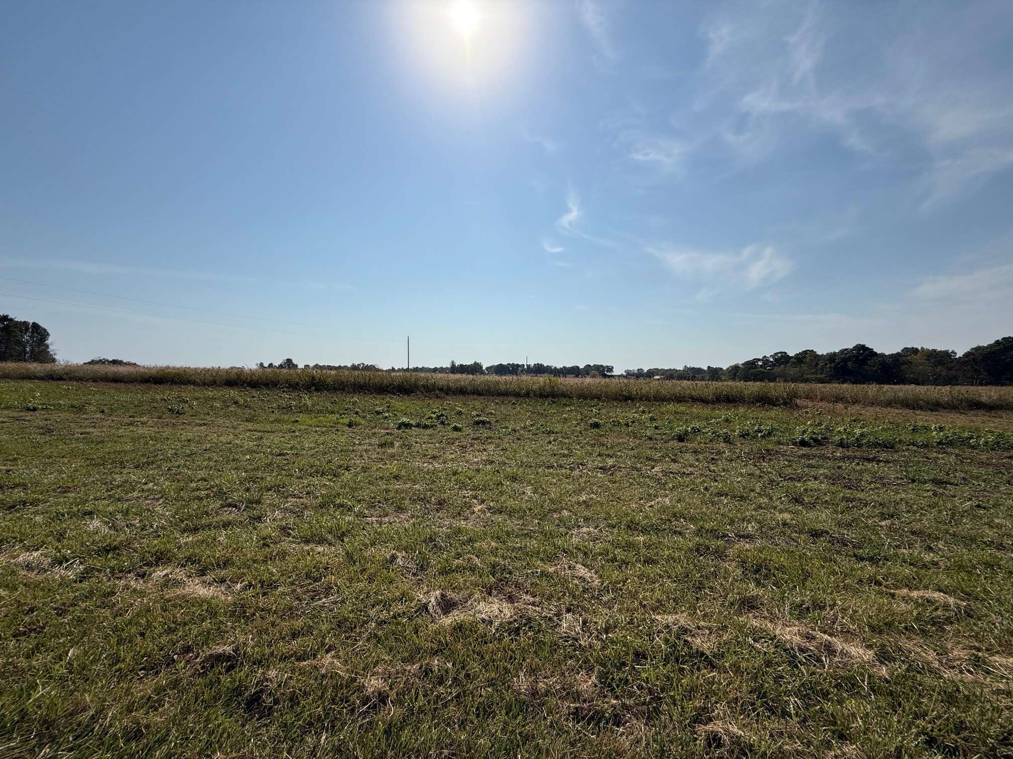 0 Green Ridge Spa Rd, Lewisburg, KY 42256