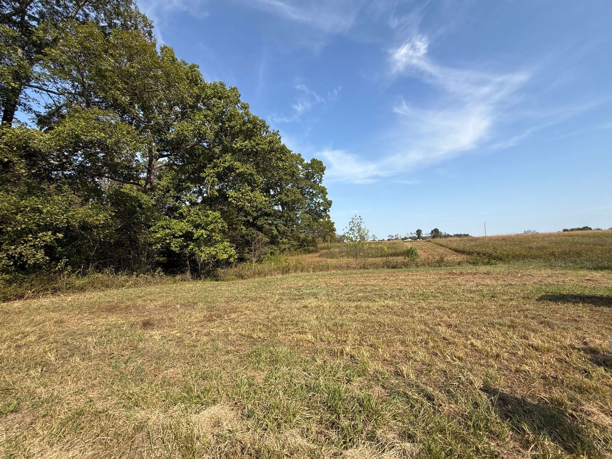 0 Green Ridge Spa Rd, Lewisburg, KY 42256