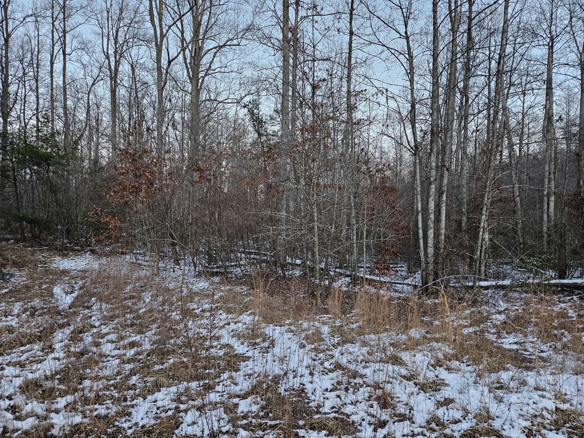 1234 Rodgers Rd, Crossville, TN 38572
