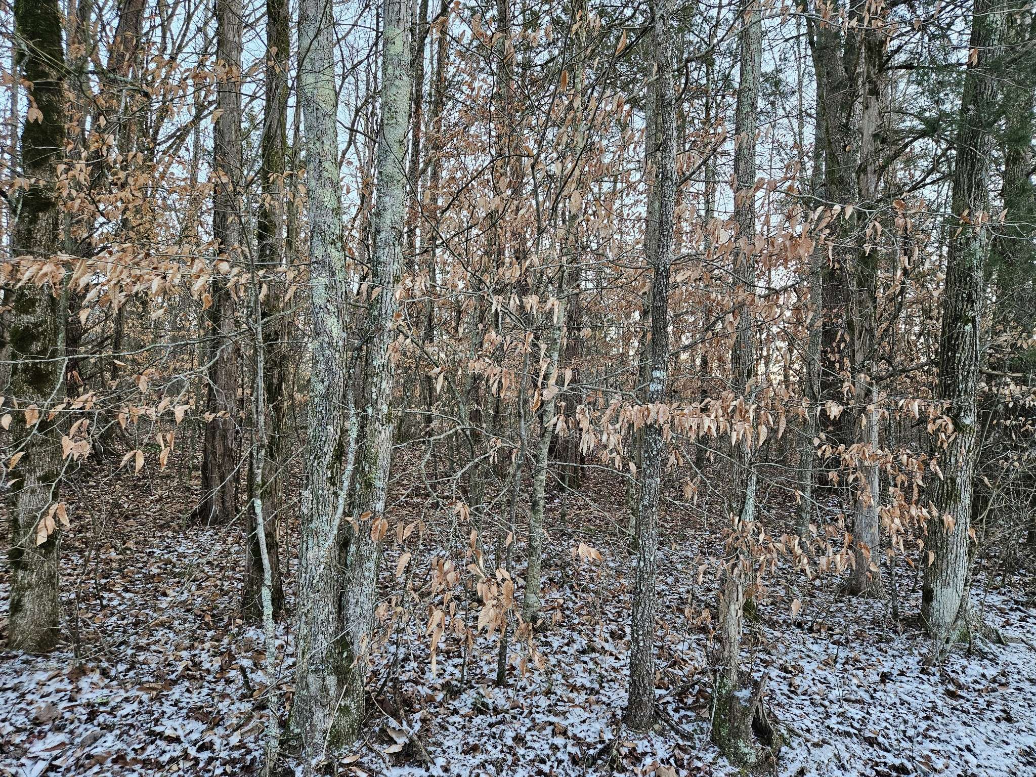 0 Pollard Cemetery Road, Walling, TN 38587