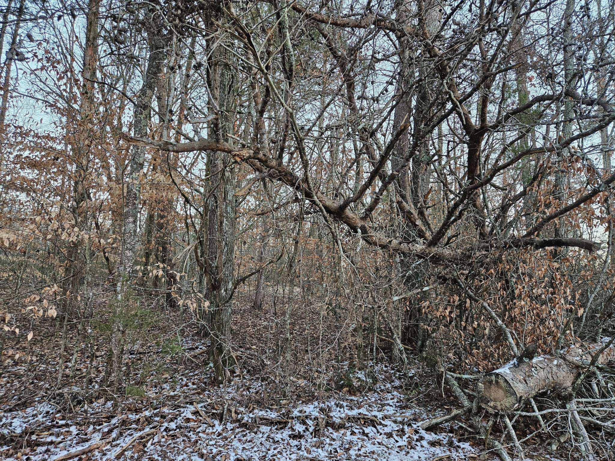 0 Pollard Cemetery Road, Walling, TN 38587