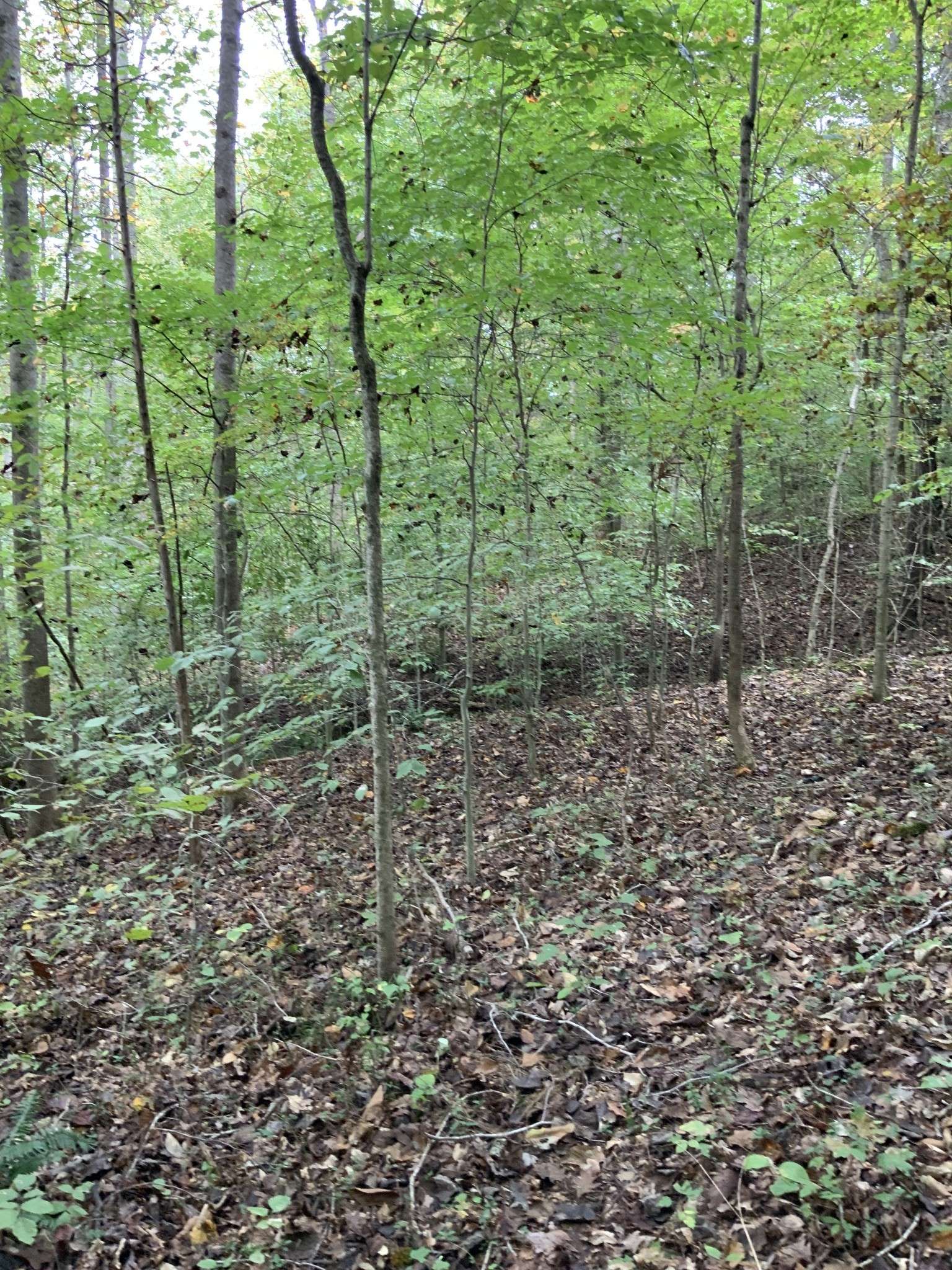 0 Lakeshore Drive, Dover, TN 37058