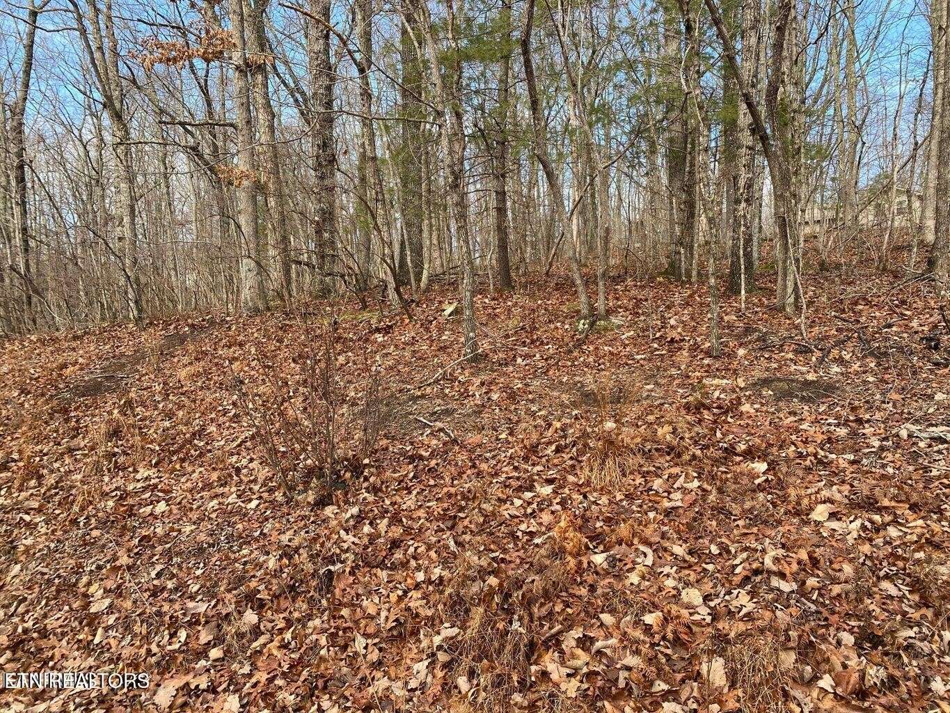 116 Overlook Cove, Crossville, TN 38558