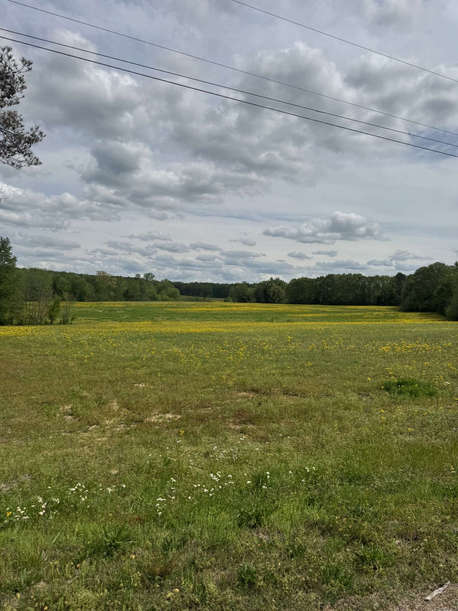 0 Taylor Cemetery Rd, Buena Vista, TN 38318
