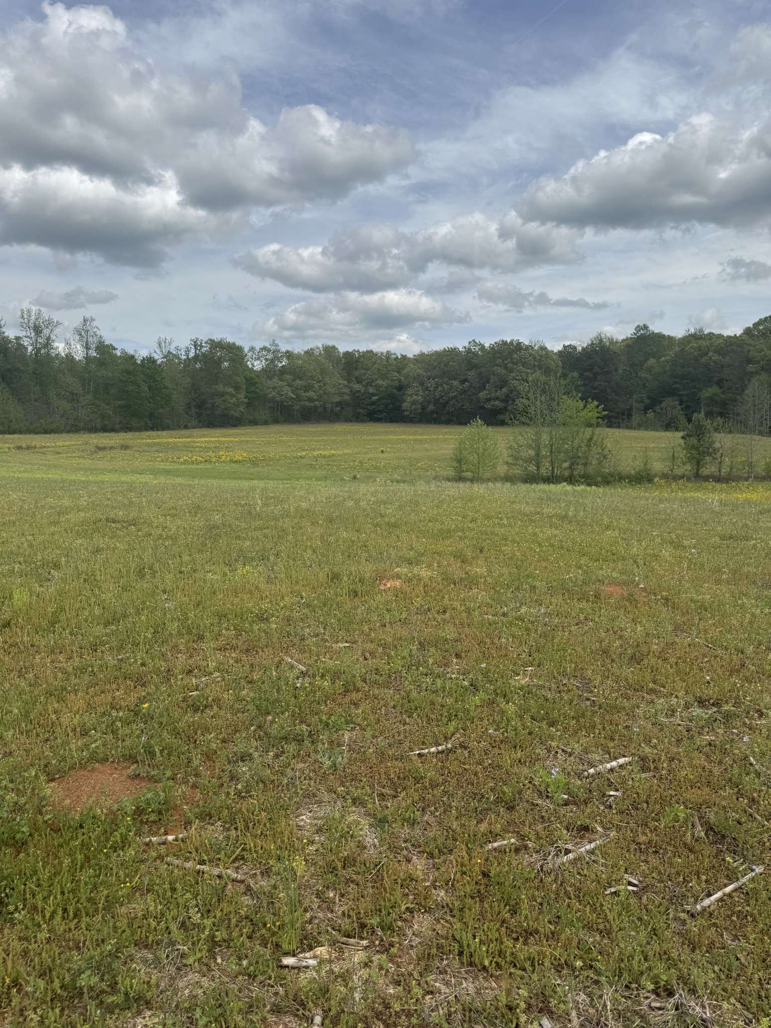 0 Taylor Cemetery Rd, Buena Vista, TN 38318
