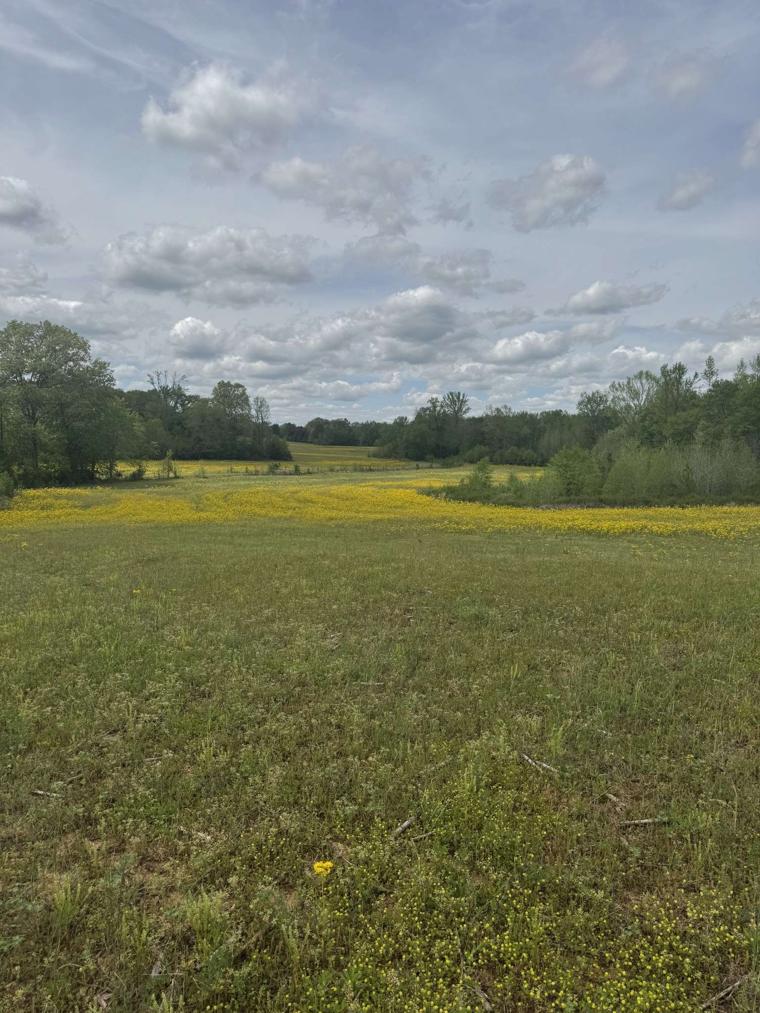 0 Taylor Cemetery Rd, Buena Vista, TN 38318