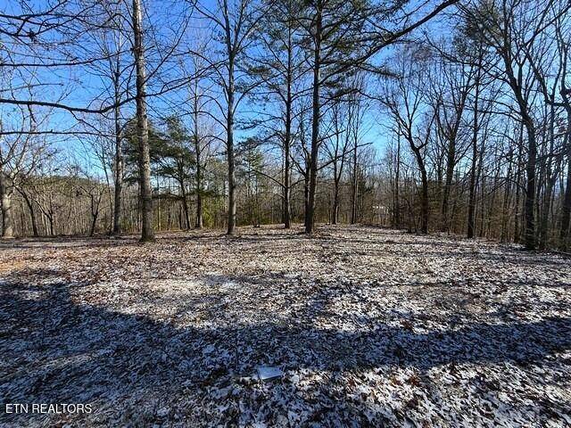 0 Under The Sun Rd, Cosby, TN 37722