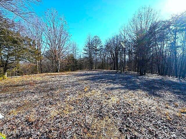 0 Under The Sun Rd, Cosby, TN 37722