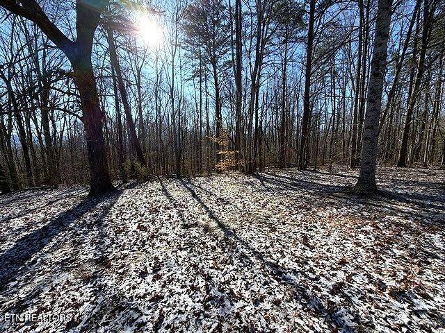0 Under The Sun Rd, Cosby, TN 37722