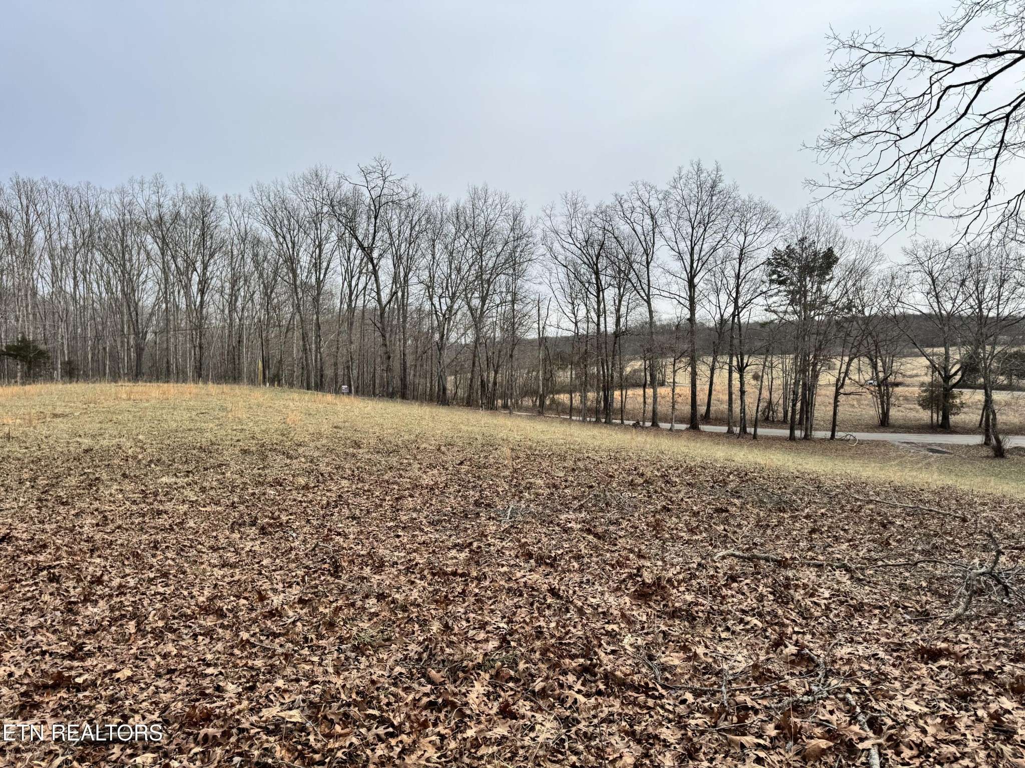 41 Smith Mountain Rd, Rockwood, TN 37854
