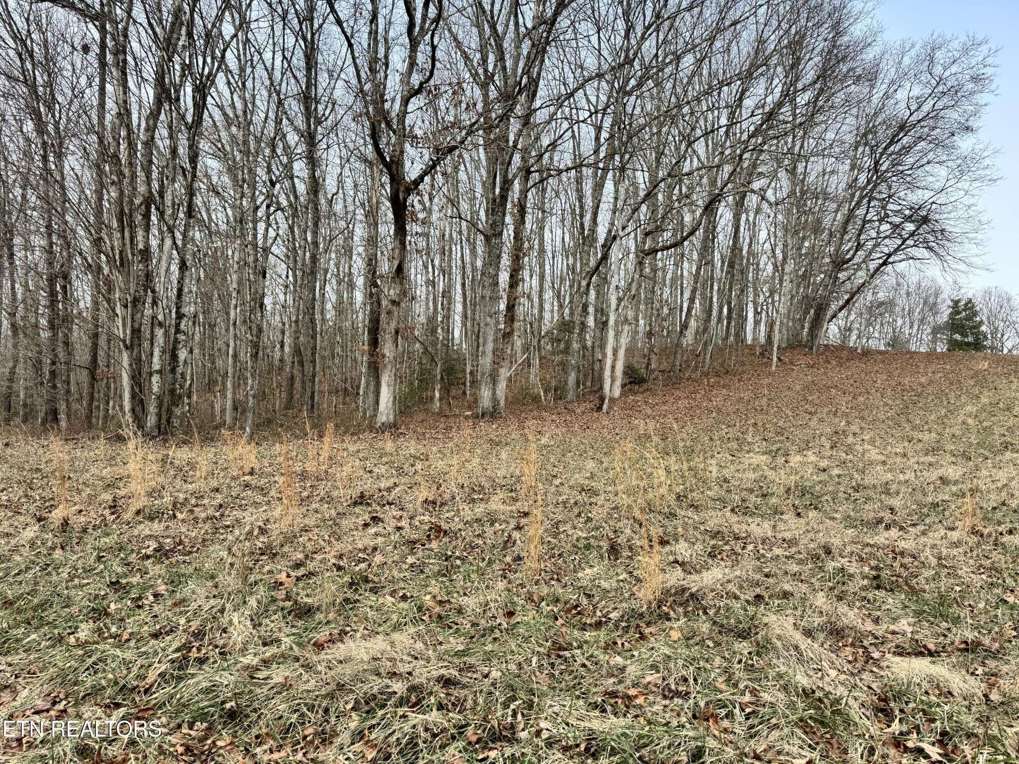 41 Smith Mountain Rd, Rockwood, TN 37854