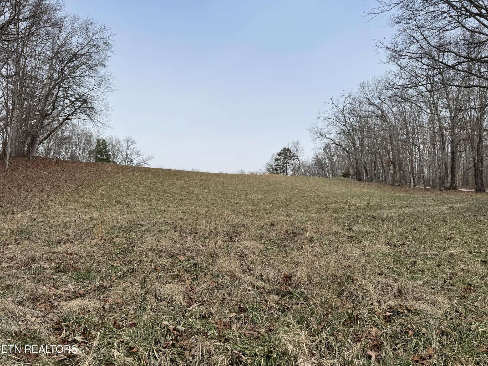 41 Smith Mountain Rd, Rockwood, TN 37854