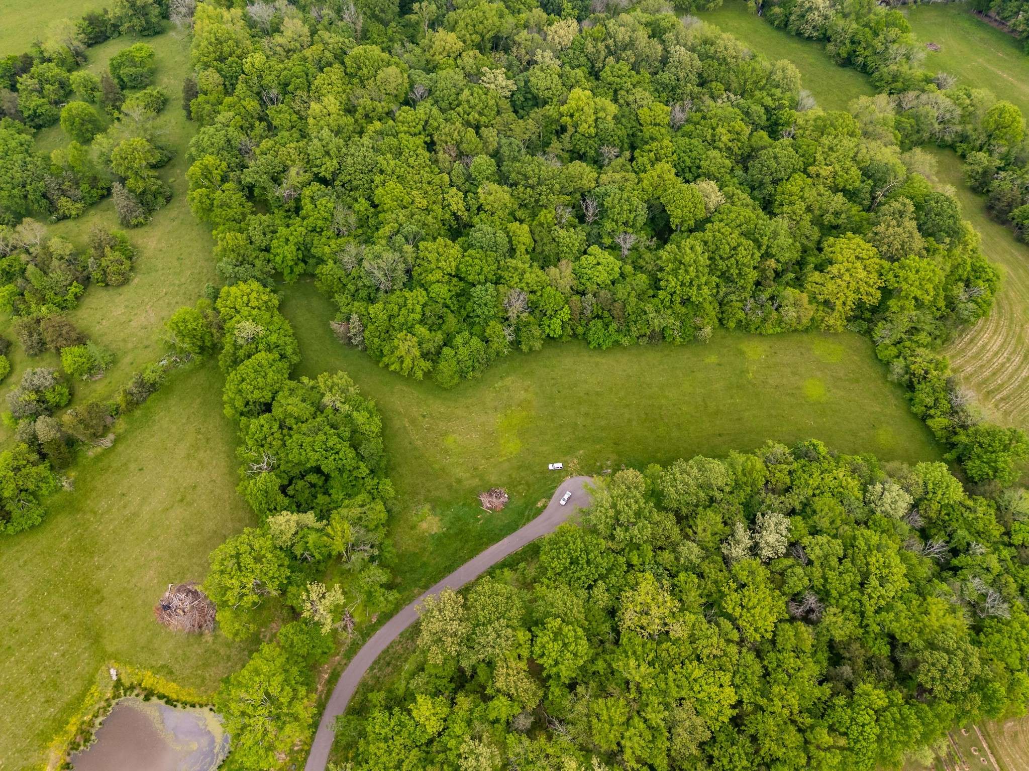 9023 Possum Trot Trail, College Grove, TN 37046