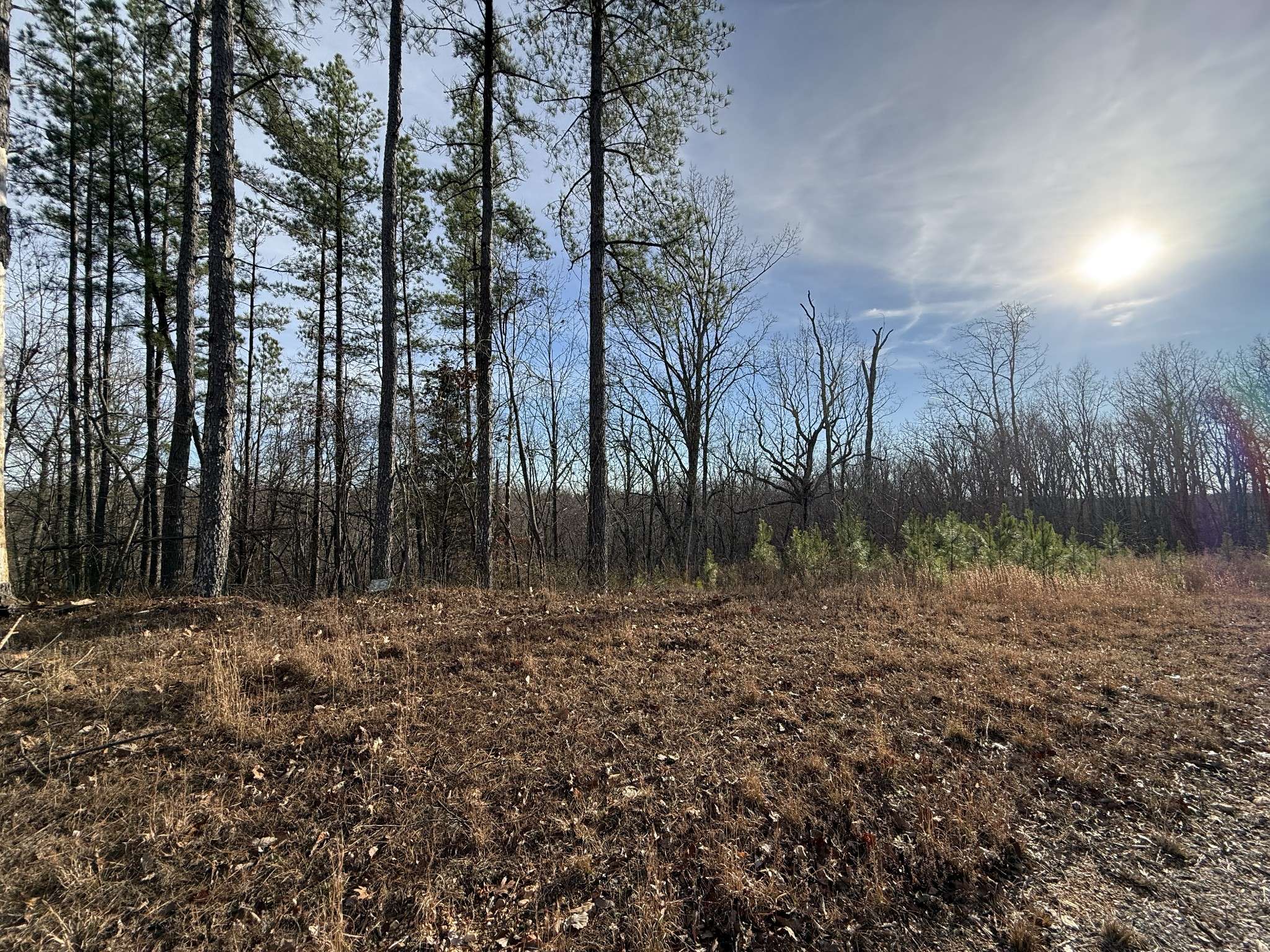 0 Richland Harbor Rd, Waverly, TN 37185