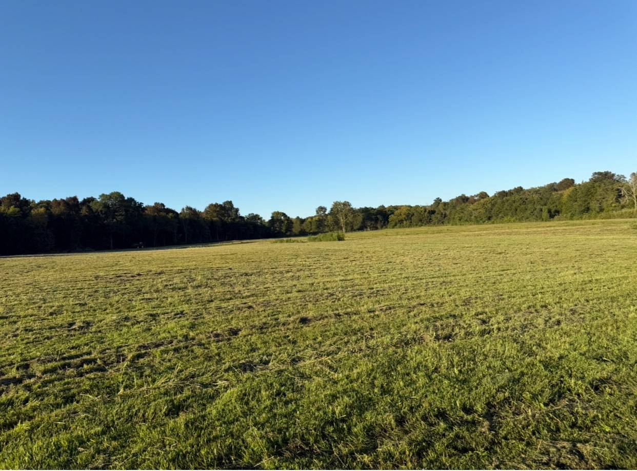 0 Minkslide Rd, Bell Buckle, TN 37020