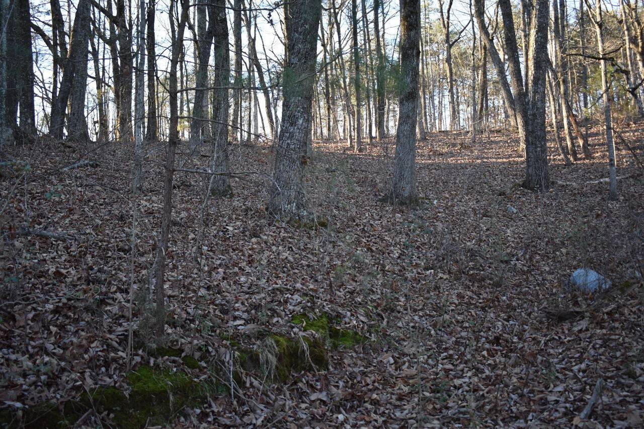 1 Eldridge Lane #SW, Cleveland, TN 37311