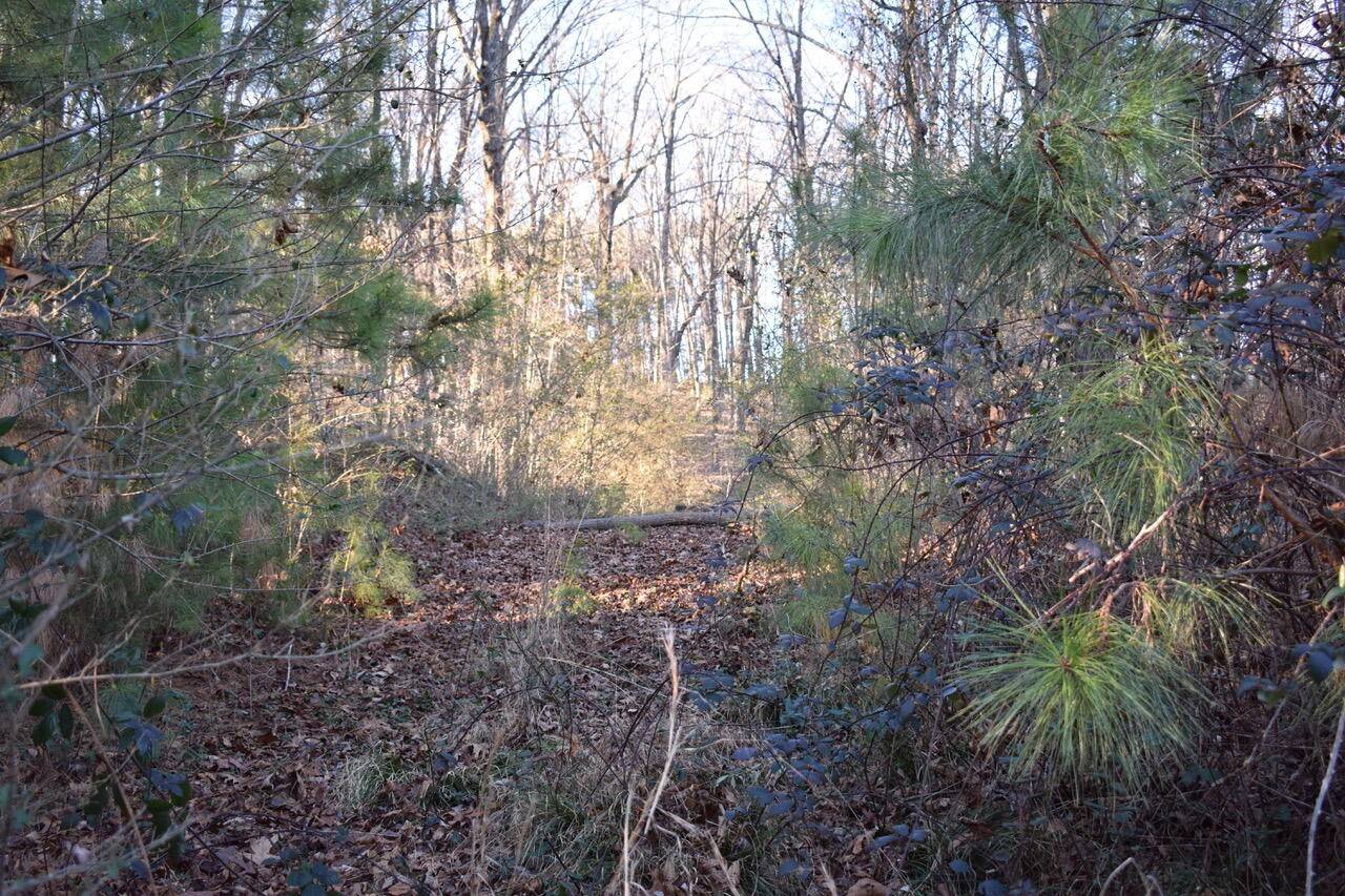 1 Eldridge Lane #SW, Cleveland, TN 37311