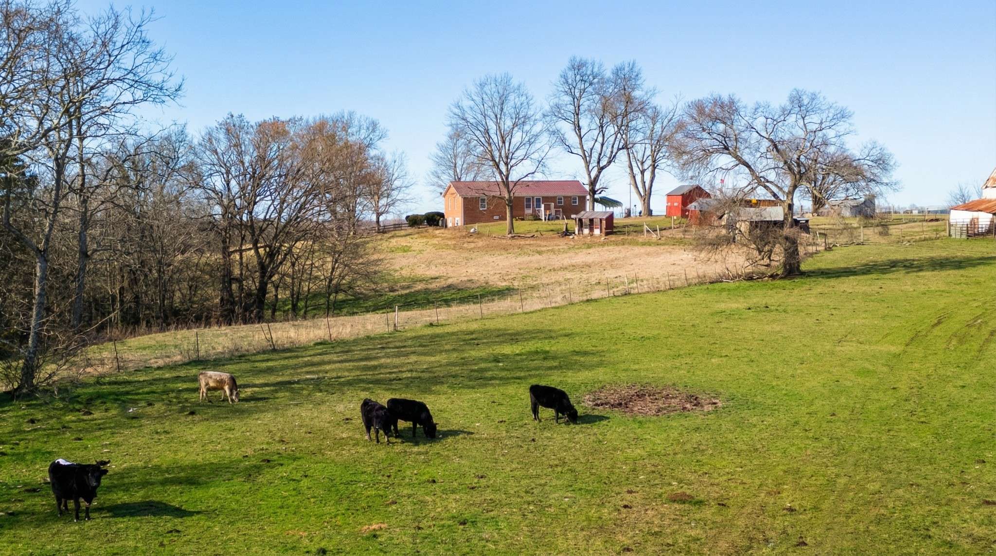 171 Uselton Rd, Shelbyville, TN 37160
