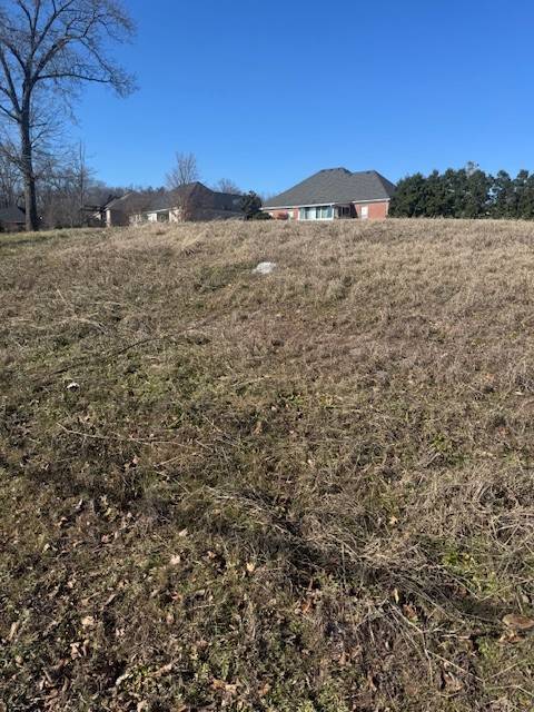 0 Bonifay Drive, Smyrna, TN 37167