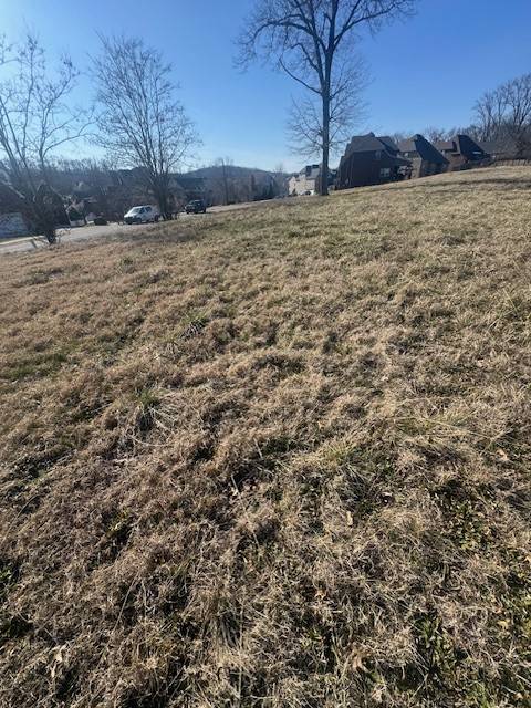 0 Bonifay Drive, Smyrna, TN 37167