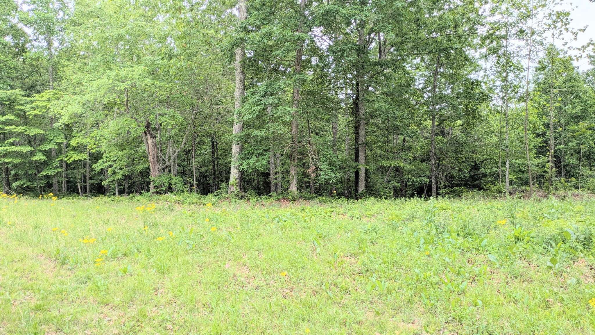 1340 Owl Circ, Hurricane Mills, TN 37078