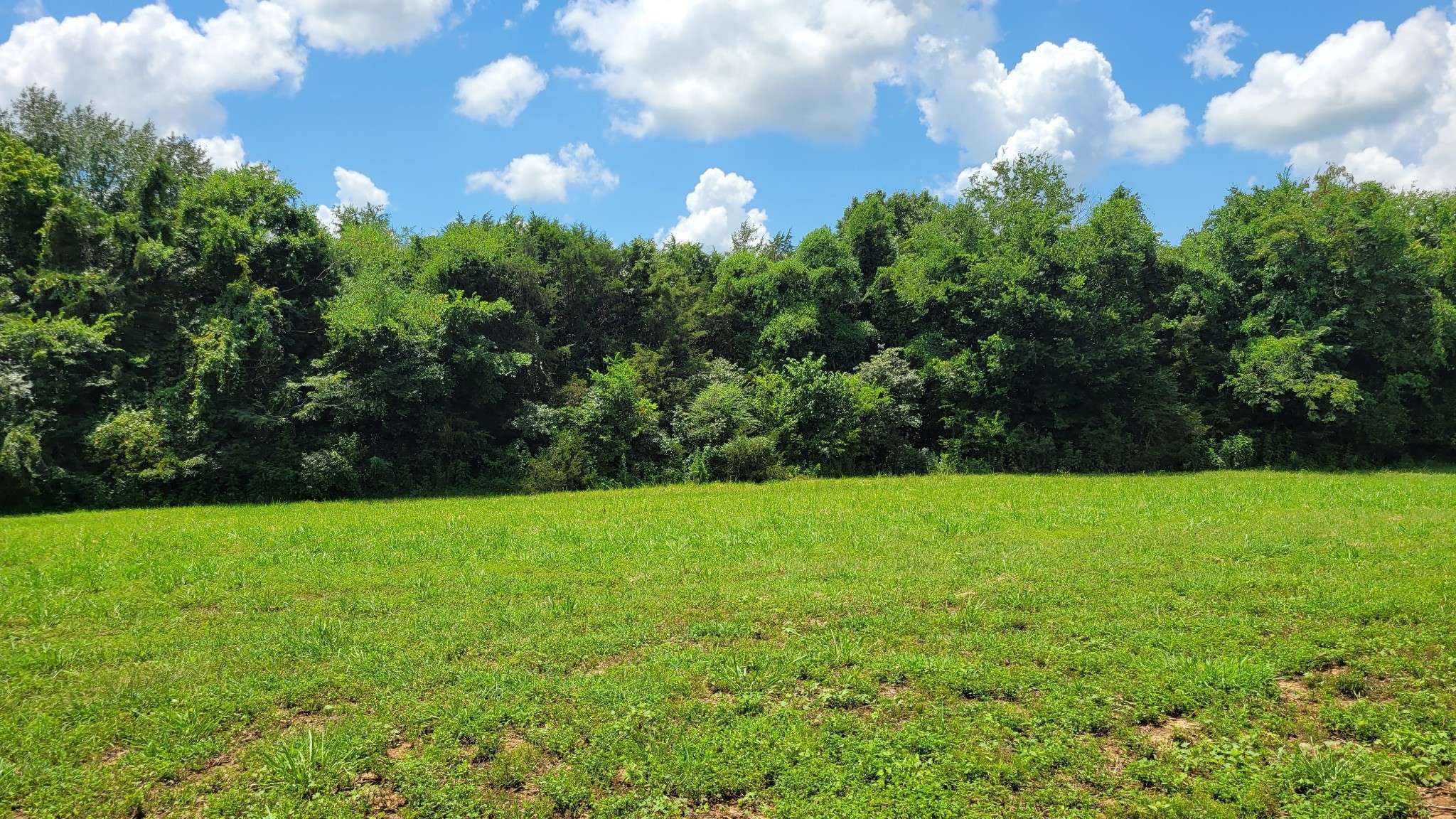 5 Mount Lebanon Church Rd, Shelbyville, TN 37160