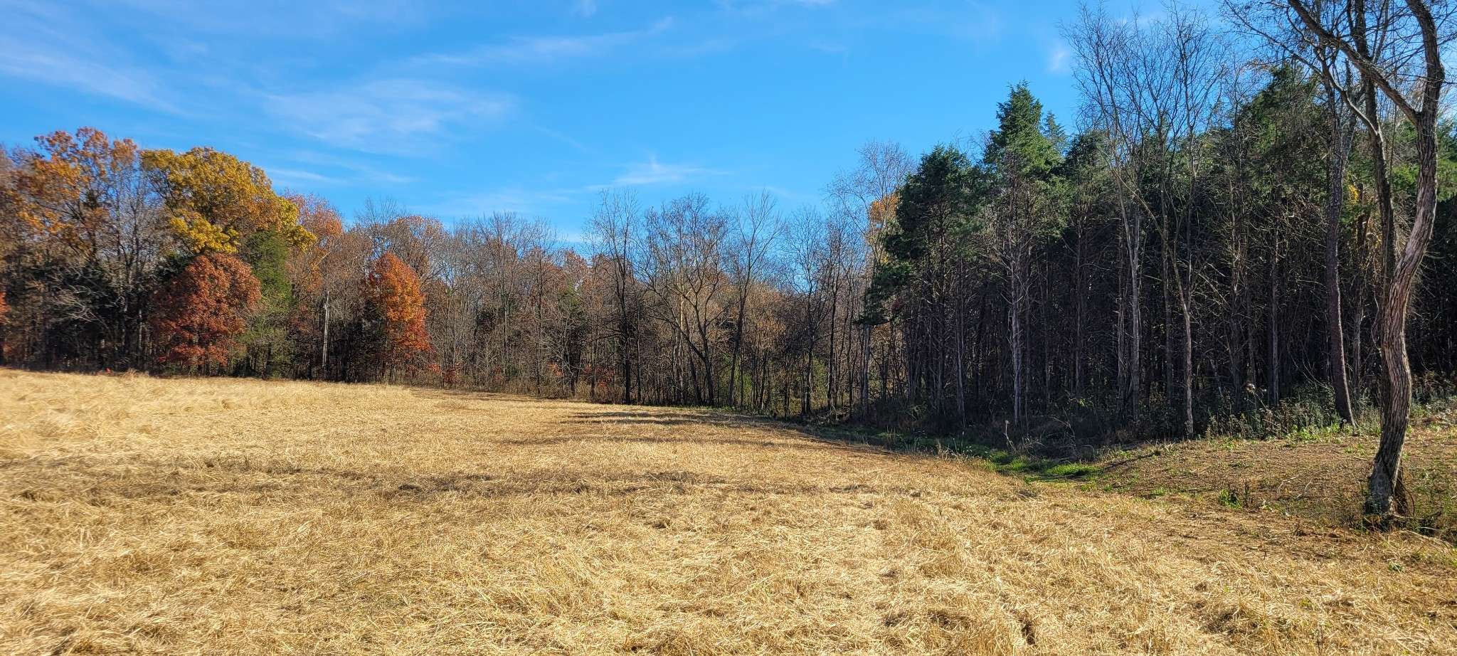 5 Mount Lebanon Church Rd, Shelbyville, TN 37160