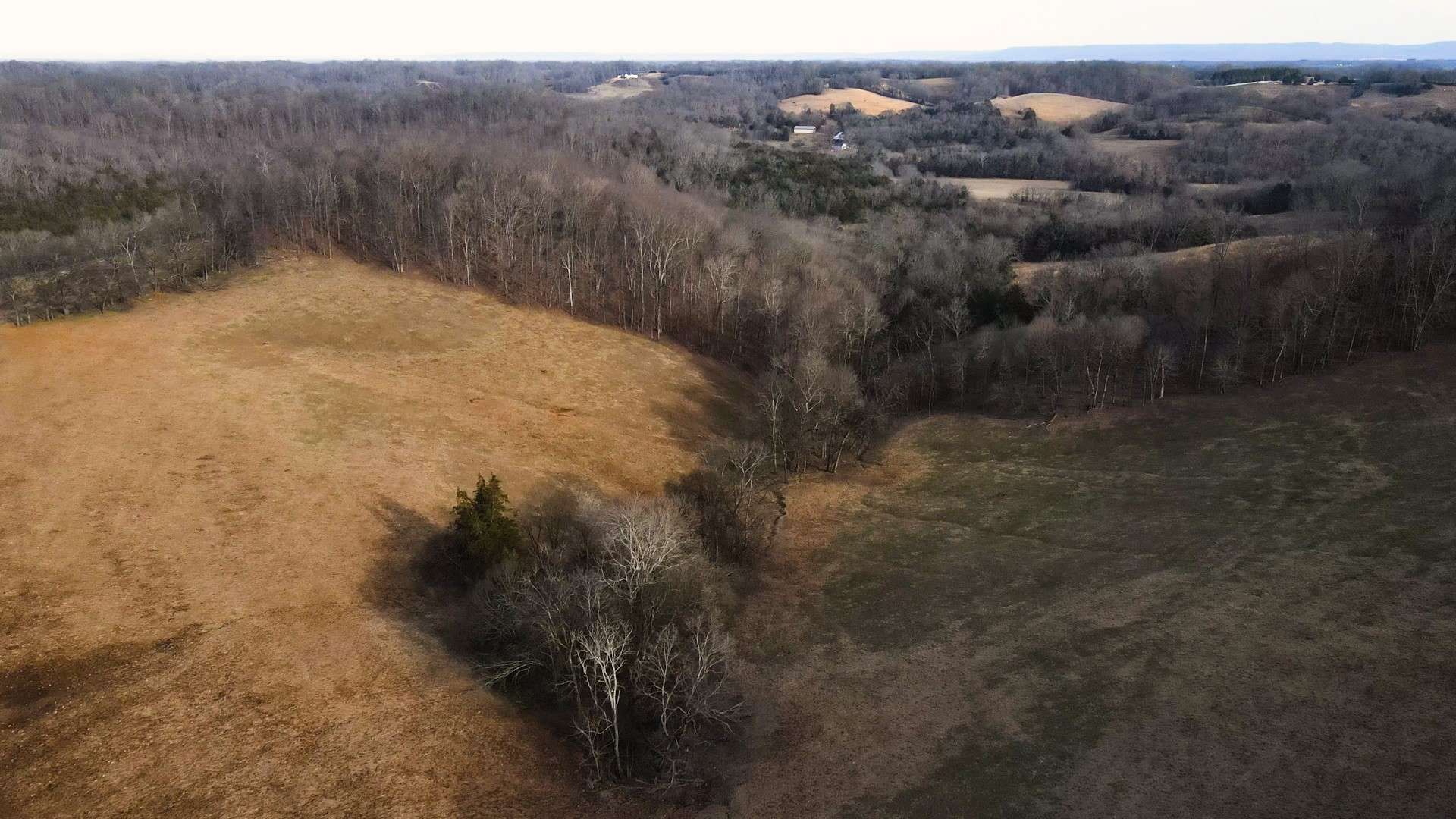 0 Oak Grove Rd, Belvidere, TN 37306