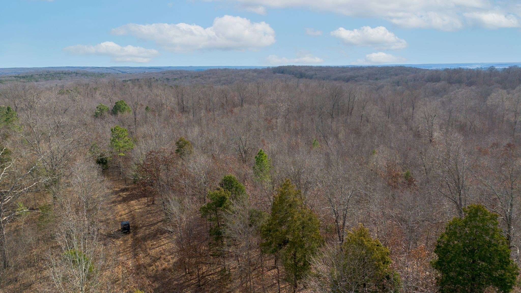 1 Olde Tennessee Trail, Springville, TN 38256