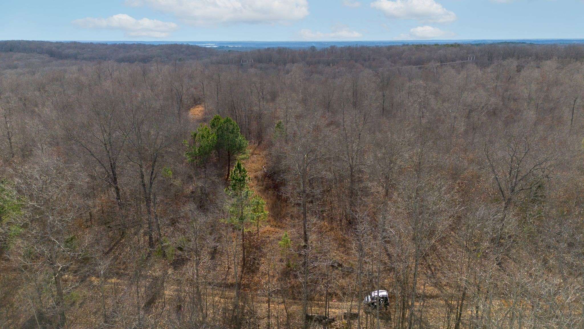 1 Olde Tennessee Trail, Springville, TN 38256