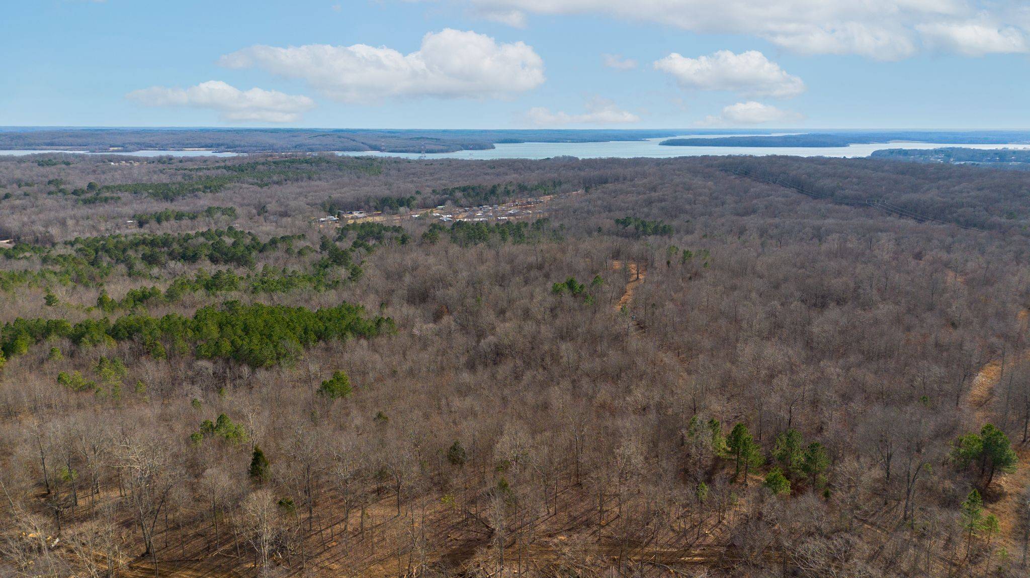 1 Olde Tennessee Trail, Springville, TN 38256