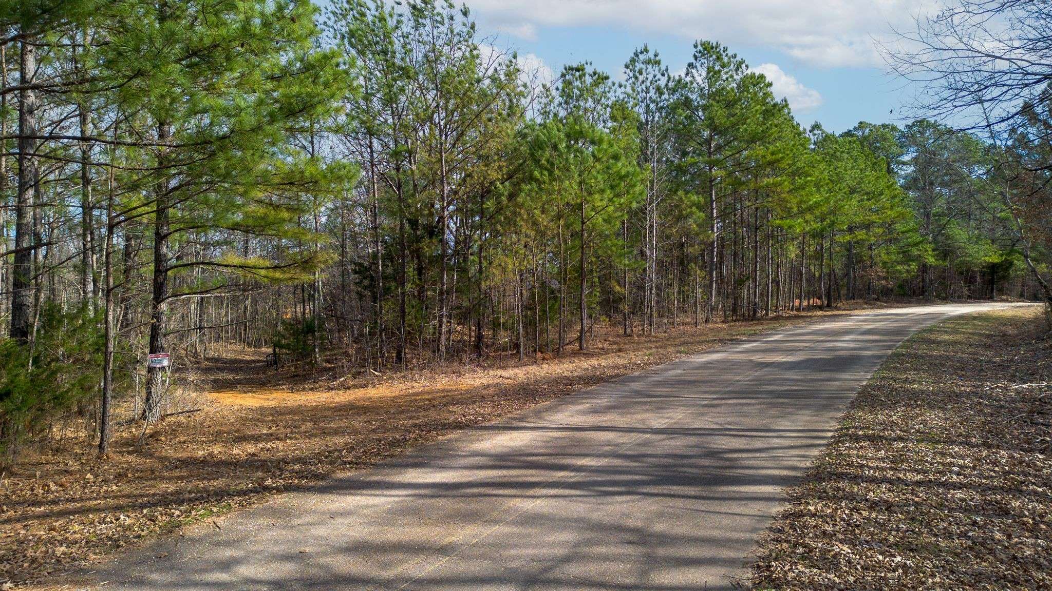 1 Olde Tennessee Trail, Springville, TN 38256